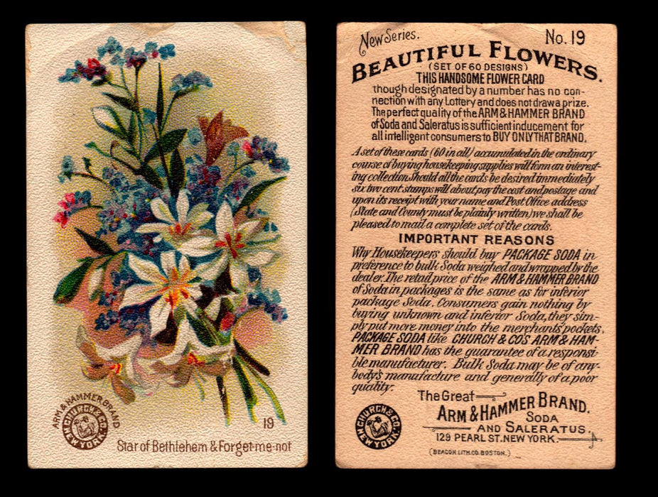 Beautiful Flowers New Series You Pick Singles Card #1-#60 Arm & Hammer 1888 J16 #19 Star of Bethlehem & Forget-Me-Not  - TvMovieCards.com
