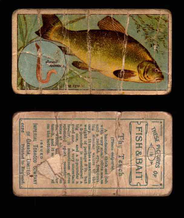 1910 Fish and Bait Imperial Tobacco Vintage Trading Cards You Pick Singles #1-50 #19 The Tench  - TvMovieCards.com