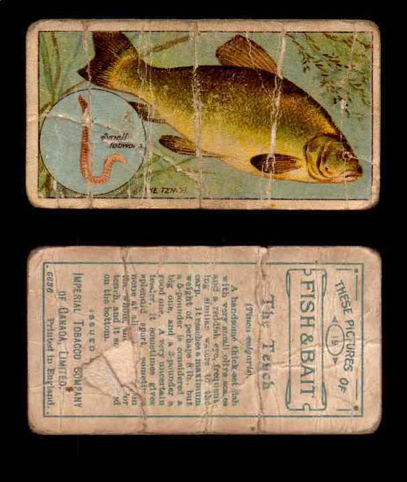 1910 Fish and Bait Imperial Tobacco Vintage Trading Cards You Pick Singles #1-50 #19 The Tench  - TvMovieCards.com