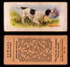 1929 V13 Cowans Dog Pictures Vintage Trading Cards You Pick Singles #1-24 #19 English Setter  - TvMovieCards.com