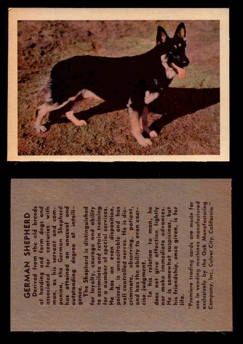1957 Dogs Premiere Oak Man. R-724-4 Vintage Trading Cards You Pick Singles #1-42 #19 German Shepherd  - TvMovieCards.com
