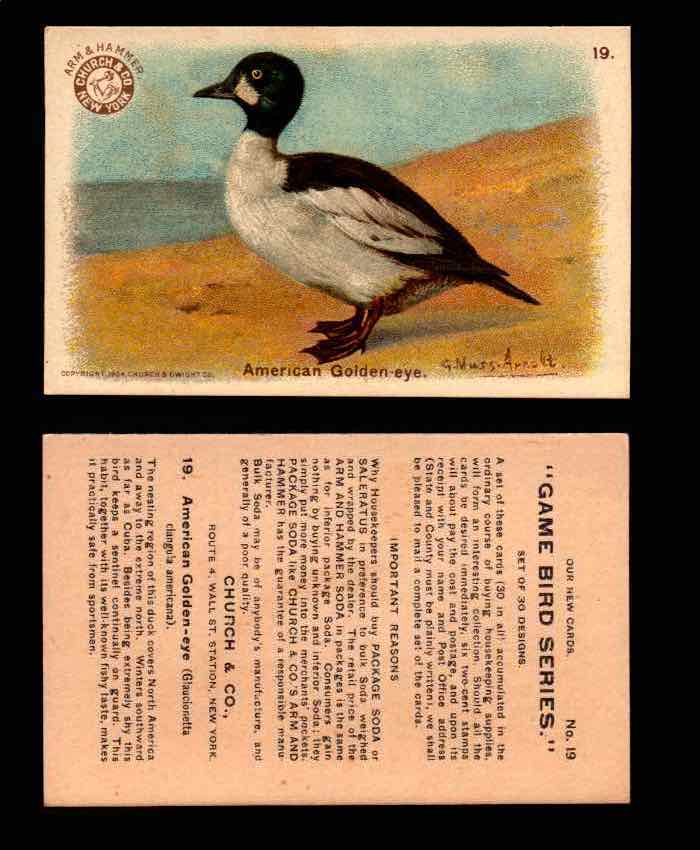 1904 Arm & Hammer Game Bird Series Vintage Trading Cards Singles #1-30 #19 American Goldeneye  - TvMovieCards.com
