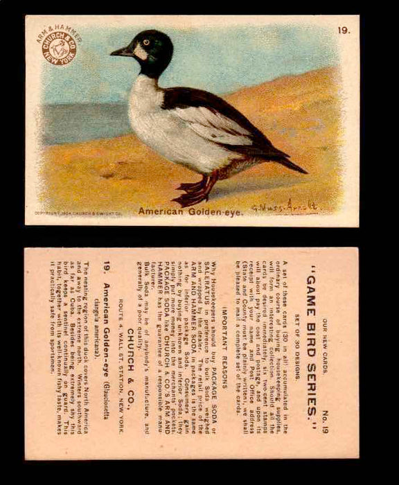 1904 Arm & Hammer Game Bird Series Vintage Trading Cards Singles #1-30 #19 American Goldeneye  - TvMovieCards.com