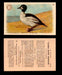 1904 Arm & Hammer Game Bird Series Vintage Trading Cards Singles #1-30 #19 American Goldeneye  - TvMovieCards.com