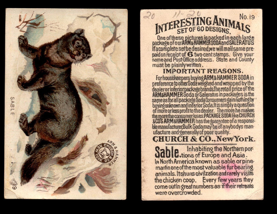 Interesting Animals You Pick Single Card #1-60 1892 J10 Church Arm & Hammer #19 Sable  - TvMovieCards.com