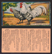 1924 V12 Cowans Chicken Pictures Vintage Trading Cards You Pick Singles #1-24 #19 Silver Spangled Hamburgs  - TvMovieCards.com