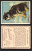1910 T30 Hassan Tobacco Cigarettes Artic Scenes Vintage Trading Cards Singles #19 The Explorers Friend  - TvMovieCards.com