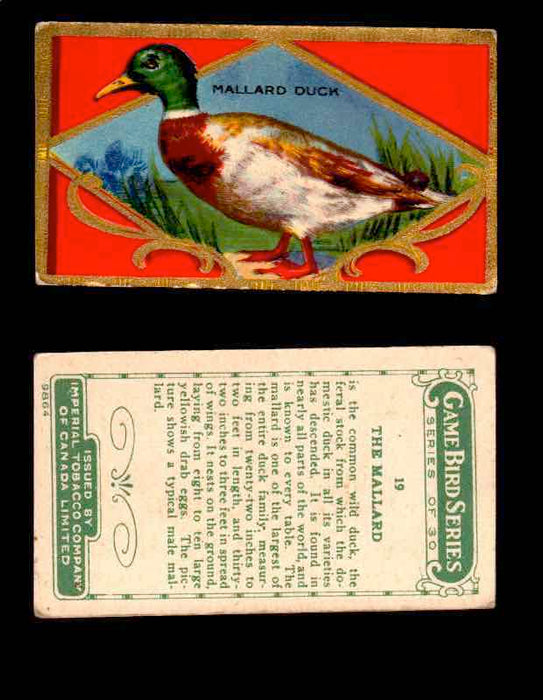 1910 Game Bird Series C14 Imperial Tobacco Vintage Trading Cards Singles #1-30 #19 The Mallard  - TvMovieCards.com