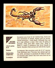 Nature Untamed Nabisco Vintage Trading Cards You Pick Singles #1-24 #19 Scorpion  - TvMovieCards.com