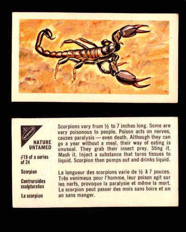 Nature Untamed Nabisco Vintage Trading Cards You Pick Singles #1-24 #19 Scorpion  - TvMovieCards.com