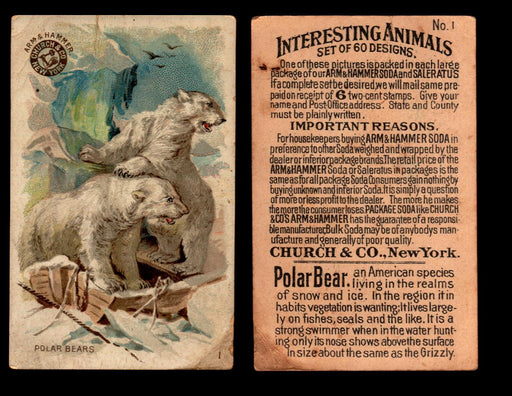 Interesting Animals You Pick Single Card #1-60 1892 J10 Church Arm & Hammer #1 Polar Bears  - TvMovieCards.com
