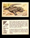 Nature Untamed Nabisco Vintage Trading Cards You Pick Singles #1-24 #1 Komodo Dragon Lizard  - TvMovieCards.com