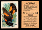 Birds - Useful Birds of America 9th Series You Pick Singles Church & Dwight J-9 #1 Redstart  - TvMovieCards.com