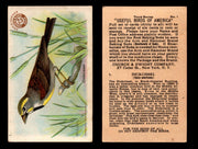 Birds - Useful Birds of America 3rd Series You Pick Singles Church & Dwight J-7 #1 Dickcissel  - TvMovieCards.com