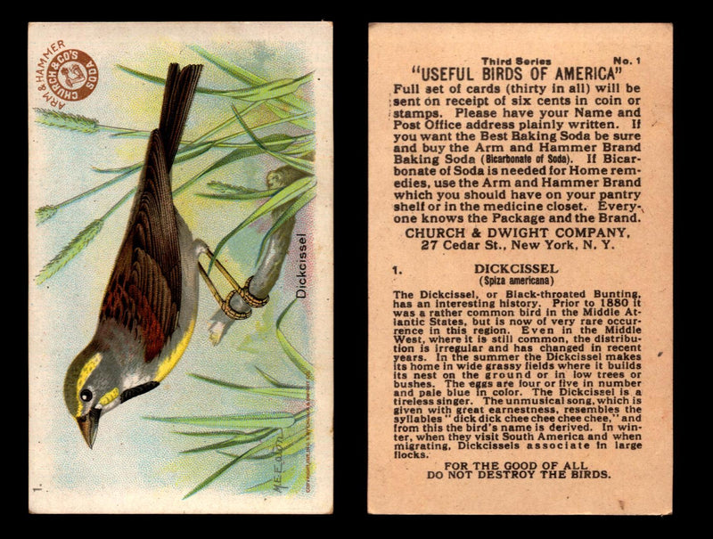 Birds - Useful Birds of America 3rd Series You Pick Singles Church & Dwight J-7 #1 Dickcissel  - TvMovieCards.com