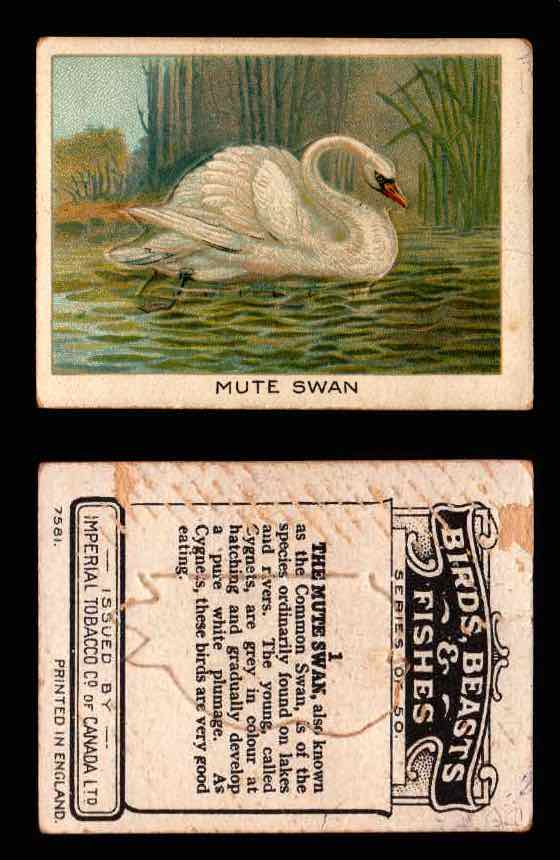 1923 Birds, Beasts, Fishes C1 Imperial Tobacco Vintage Trading Cards Singles #1 Mute Swan  - TvMovieCards.com