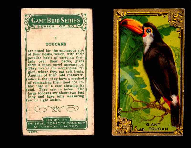 1910 Game Bird Series C14 Imperial Tobacco Vintage Trading Cards Singles #1-30 #1 Toucans  - TvMovieCards.com