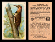 Birds - Useful Birds of America 6th Series You Pick Singles Church & Dwight J-9 #1 Flicker  - TvMovieCards.com