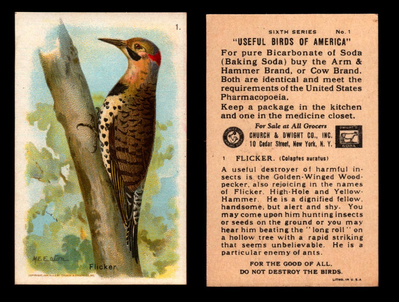Birds - Useful Birds of America 6th Series You Pick Singles Church & Dwight J-9 #1 Flicker  - TvMovieCards.com