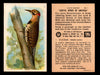 Birds - Useful Birds of America 6th Series You Pick Singles Church & Dwight J-9 #1 Flicker  - TvMovieCards.com