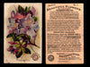 Beautiful Flowers New Series You Pick Singles Card #1-#60 Arm & Hammer 1888 J16 #1 Rhododendron  - TvMovieCards.com