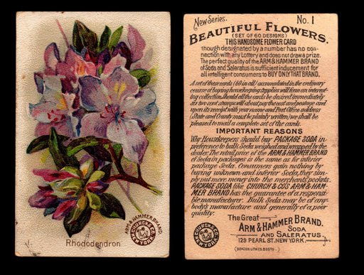 Beautiful Flowers New Series You Pick Singles Card #1-#60 Arm & Hammer 1888 J16 #1 Rhododendron  - TvMovieCards.com