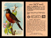 Birds - Useful Birds of America 5th Series You Pick Singles Church & Dwight J-9 #1 Robin  - TvMovieCards.com