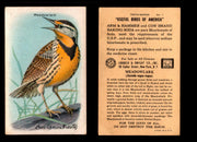 Birds - Useful Birds of America 10th Series You Pick Singles Church & Dwight J-9 #1 Meadowlark  - TvMovieCards.com
