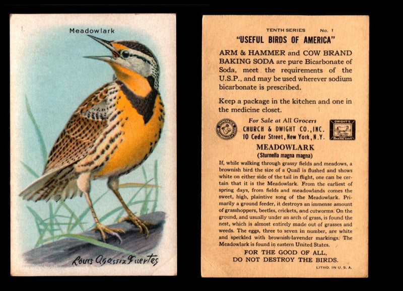 Birds - Useful Birds of America 10th Series You Pick Singles Church & Dwight J-9 #1 Meadowlark  - TvMovieCards.com
