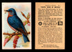 Birds - Useful Birds of America 7th Series You Pick Singles Church & Dwight J-9 #1 Bluebird  - TvMovieCards.com