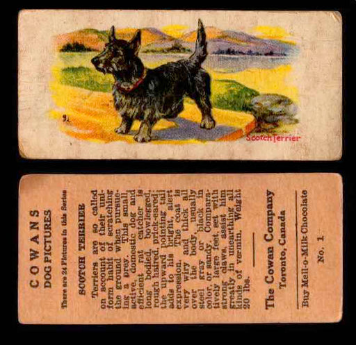 1929 V13 Cowans Dog Pictures Vintage Trading Cards You Pick Singles #1-24 #1 Scotch Terrier  - TvMovieCards.com