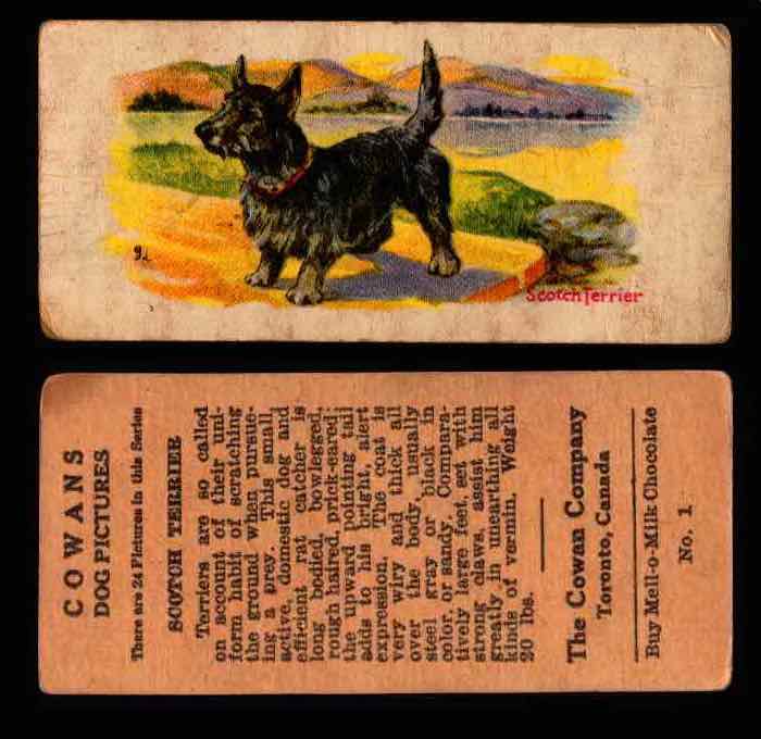 1929 V13 Cowans Dog Pictures Vintage Trading Cards You Pick Singles #1-24 #1 Scotch Terrier  - TvMovieCards.com