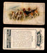 1925 Dogs 2nd Series Imperial Tobacco Vintage Trading Cards U Pick Singles #1-50 #1 Beagles  - TvMovieCards.com