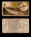 1910 Fish and Bait Imperial Tobacco Vintage Trading Cards You Pick Singles #1-50 #1 The Pike  - TvMovieCards.com