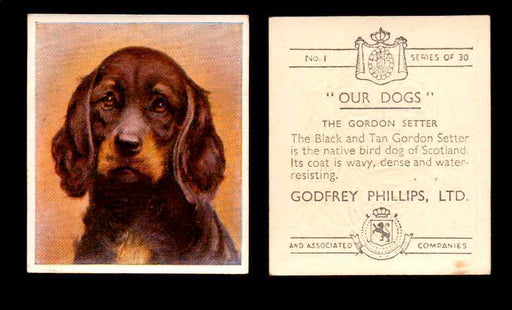 1939 Godfrey Phillips "Our Dogs" Tobacco You Pick Singles Trading Cards #1-30 #1 The Gordon Setter  - TvMovieCards.com