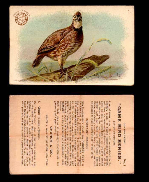 1904 Arm & Hammer Game Bird Series Vintage Trading Cards Singles #1-30 #1 Quail  - TvMovieCards.com