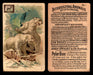 Interesting Animals You Pick Single Card #1-60 1892 J10 Church Arm & Hammer #1 Polar Bears Dwight Soda  - TvMovieCards.com