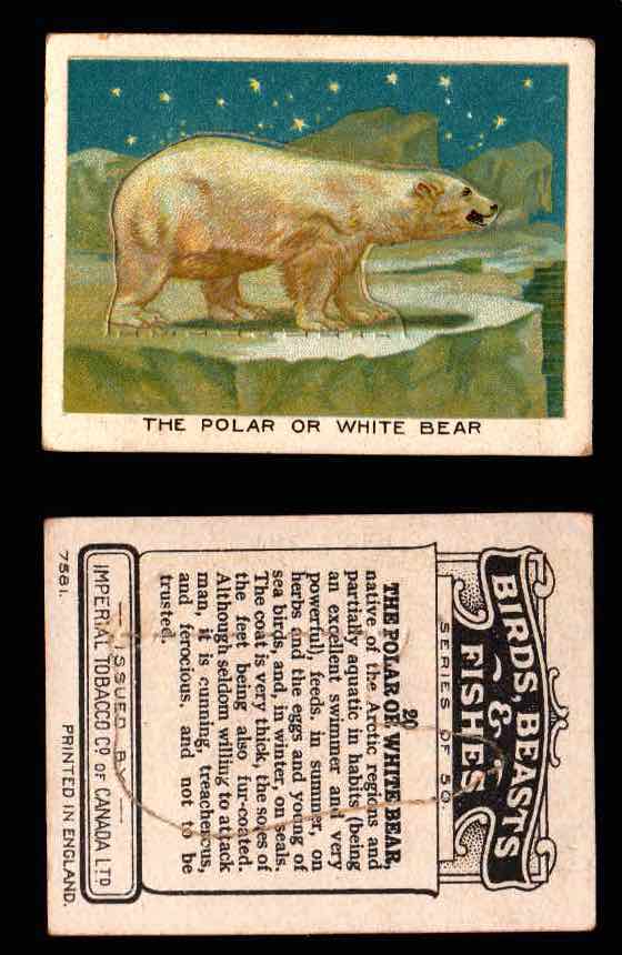 1923 Birds, Beasts, Fishes C1 Imperial Tobacco Vintage Trading Cards Singles #20 The Polar or White Bear  - TvMovieCards.com