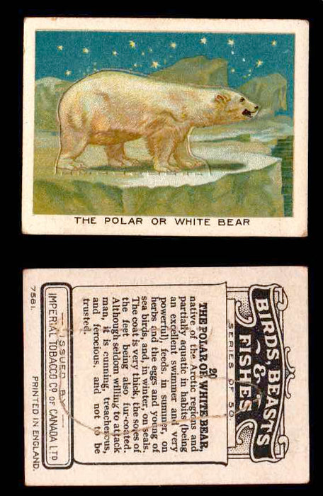 1923 Birds, Beasts, Fishes C1 Imperial Tobacco Vintage Trading Cards Singles #20 The Polar or White Bear  - TvMovieCards.com