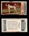 1924 Dogs Series Imperial Tobacco Vintage Trading Cards U Pick Singles #1-24 #20 Smooth Fox Terrier  - TvMovieCards.com
