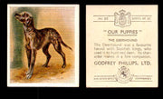 1936 Godfrey Phillips "Our Puppies" Tobacco You Pick Singles Trading Cards #1-30 #20 The Deerhound  - TvMovieCards.com