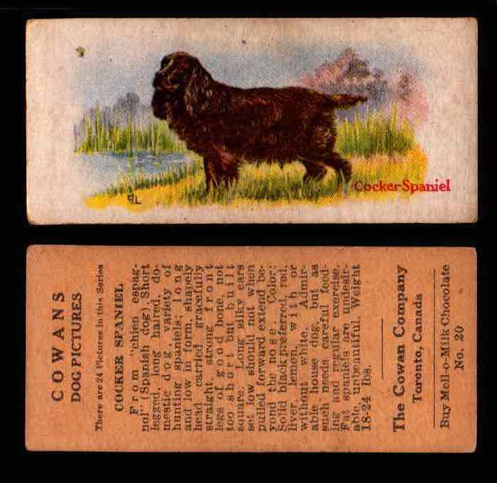 1929 V13 Cowans Dog Pictures Vintage Trading Cards You Pick Singles #1-24 #20 Cocker Spaniel  - TvMovieCards.com