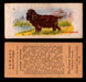 1929 V13 Cowans Dog Pictures Vintage Trading Cards You Pick Singles #1-24 #20 Cocker Spaniel  - TvMovieCards.com