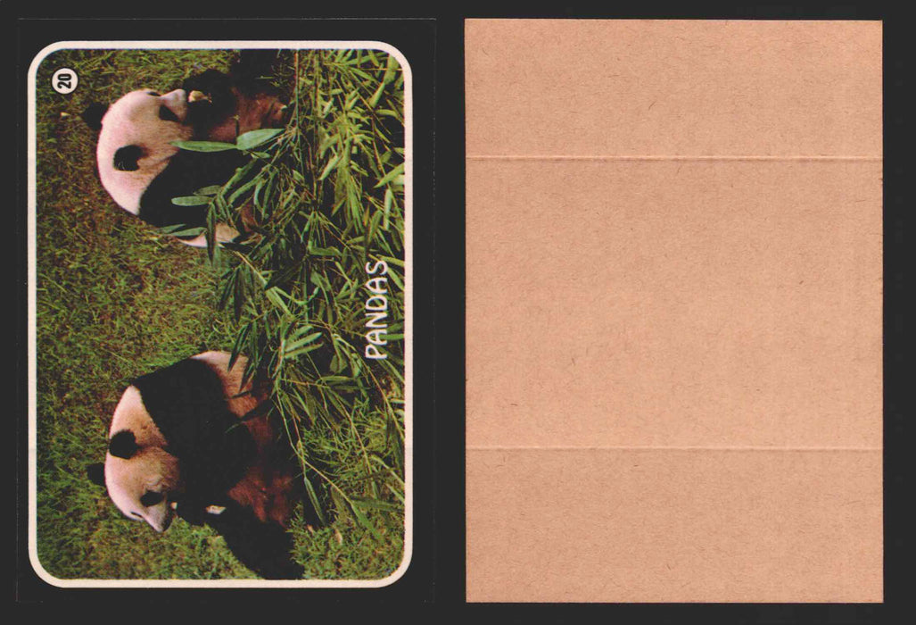 Zoo's Who Topps Animal Sticker Trading Cards You Pick Singles #1-40 1975 #20 Panda  - TvMovieCards.com