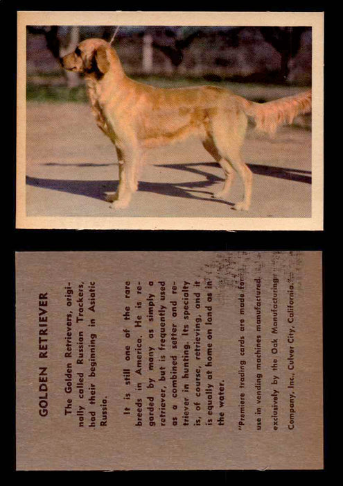 1957 Dogs Premiere Oak Man. R-724-4 Vintage Trading Cards You Pick Singles #1-42 #20 Golden Retriever  - TvMovieCards.com