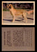 1957 Dogs Premiere Oak Man. R-724-4 Vintage Trading Cards You Pick Singles #1-42 #20 Golden Retriever  - TvMovieCards.com