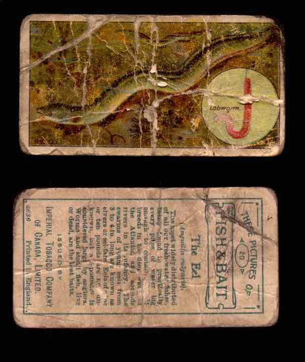 1910 Fish and Bait Imperial Tobacco Vintage Trading Cards You Pick Singles #1-50 #20 The Eel  - TvMovieCards.com