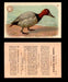 1904 Arm & Hammer Game Bird Series Vintage Trading Cards Singles #1-30 #20 Canvasback Duck  - TvMovieCards.com