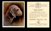1939 Godfrey Phillips "Our Dogs" Tobacco You Pick Singles Trading Cards #1-30 #20 The Bedlington Terrier  - TvMovieCards.com