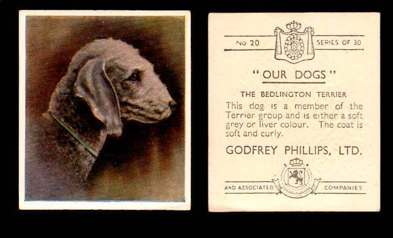 1939 Godfrey Phillips "Our Dogs" Tobacco You Pick Singles Trading Cards #1-30 #20 The Bedlington Terrier  - TvMovieCards.com